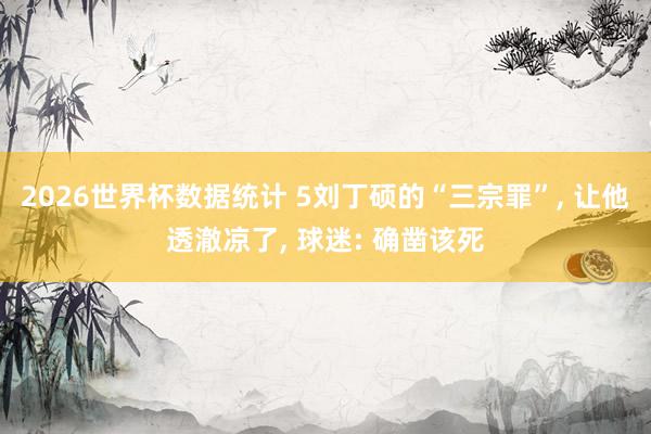 2026世界杯数据统计 5刘丁硕的“三宗罪”, 让他透澈凉了, 球迷: 确凿该死