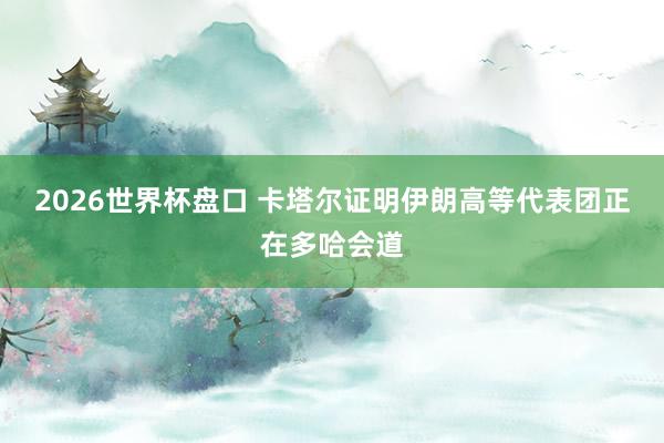 2026世界杯盘口 卡塔尔证明伊朗高等代表团正在多哈会道
