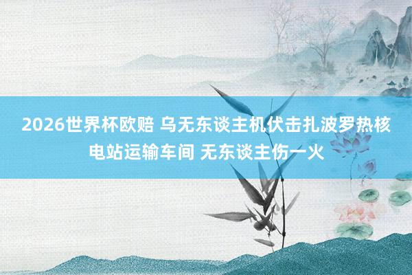 2026世界杯欧赔 乌无东谈主机伏击扎波罗热核电站运输车间 无东谈主伤一火