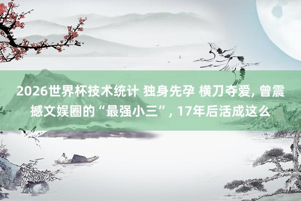 2026世界杯技术统计 独身先孕 横刀夺爱, 曾震撼文娱圈的“最强小三”, 17年后活成这么