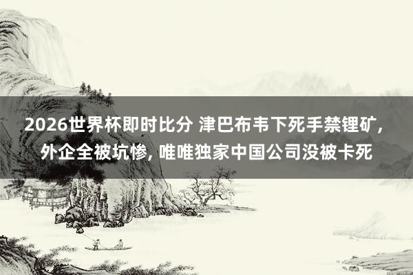 2026世界杯即时比分 津巴布韦下死手禁锂矿, 外企全被坑惨, 唯唯独家中国公司没被卡死