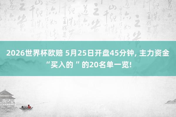 2026世界杯欧赔 5月25日开盘45分钟, 主力资金“买入的 ”的20名单一览!
