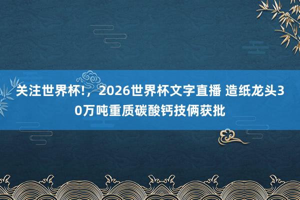 关注世界杯!,2026世界杯文字直播 造纸龙头30万吨重质碳酸钙技俩获批