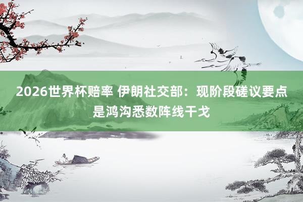 2026世界杯赔率 伊朗社交部:现阶段磋议要点是鸿沟悉数阵线干戈