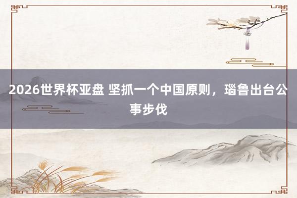 2026世界杯亚盘 坚抓一个中国原则,瑙鲁出台公事步伐