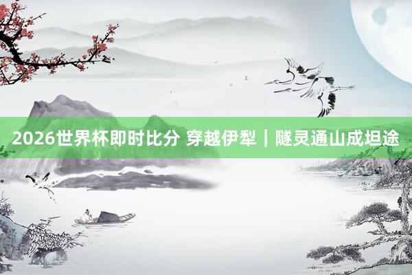 2026世界杯即时比分 穿越伊犁|隧灵通山成坦途