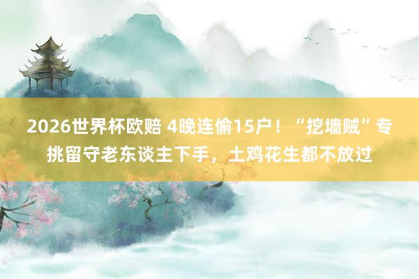 2026世界杯欧赔 4晚连偷15户!“挖墙贼”专挑留守老东谈主下手,土鸡花生都不放过