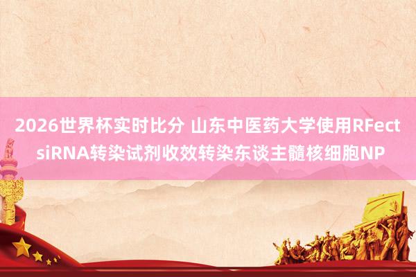 2026世界杯实时比分 山东中医药大学使用RFect siRNA转染试剂收效转染东谈主髓核细胞NP