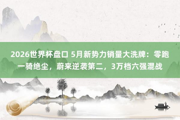 2026世界杯盘口 5月新势力销量大洗牌:零跑一骑绝尘,蔚来逆袭第二,3万档六强混战