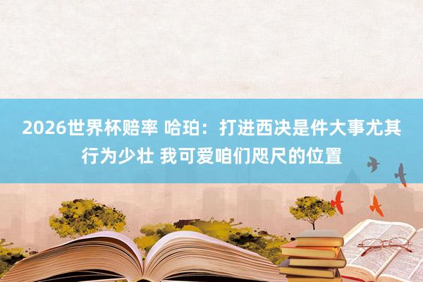 2026世界杯赔率 哈珀:打进西决是件大事尤其行为少壮 我可爱咱们咫尺的位置