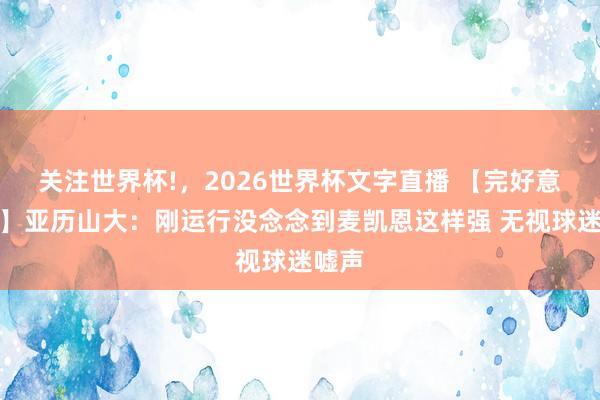关注世界杯!,2026世界杯文字直播 【完好意思版】亚历山大:刚运行没念念到麦凯恩这样强 无视球迷嘘声