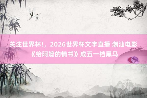 关注世界杯!，2026世界杯文字直播 潮汕电影《给阿嬷的情书》成五一档黑马