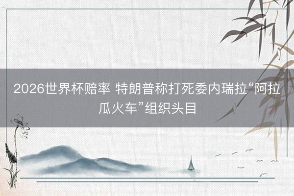 2026世界杯赔率 特朗普称打死委内瑞拉“阿拉瓜火车”组织头目
