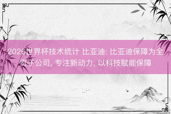 2026世界杯技术统计 比亚迪: 比亚迪保障为全资子公司, 专注新动力, 以科技赋能保障