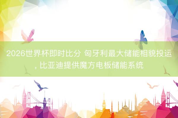 2026世界杯即时比分 匈牙利最大储能相貌投运, 比亚迪提供魔方电板储能系统