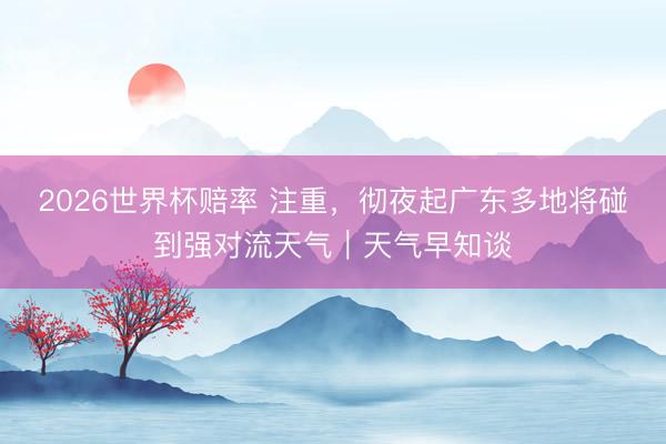 2026世界杯赔率 注重，彻夜起广东多地将碰到强对流天气｜天气早知谈