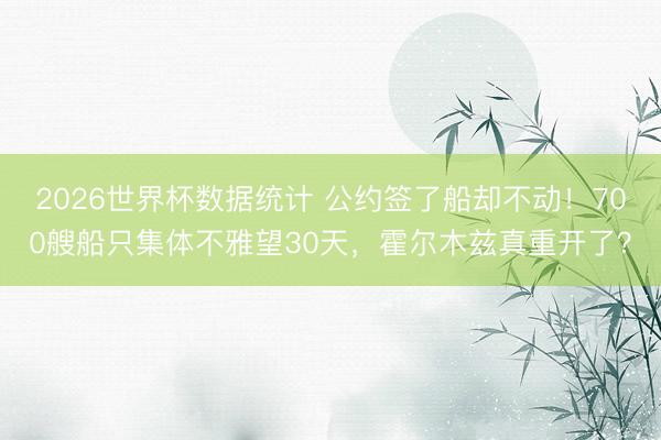 2026世界杯数据统计 公约签了船却不动！700艘船只集体不雅望30天，霍尔木兹真重开了？
